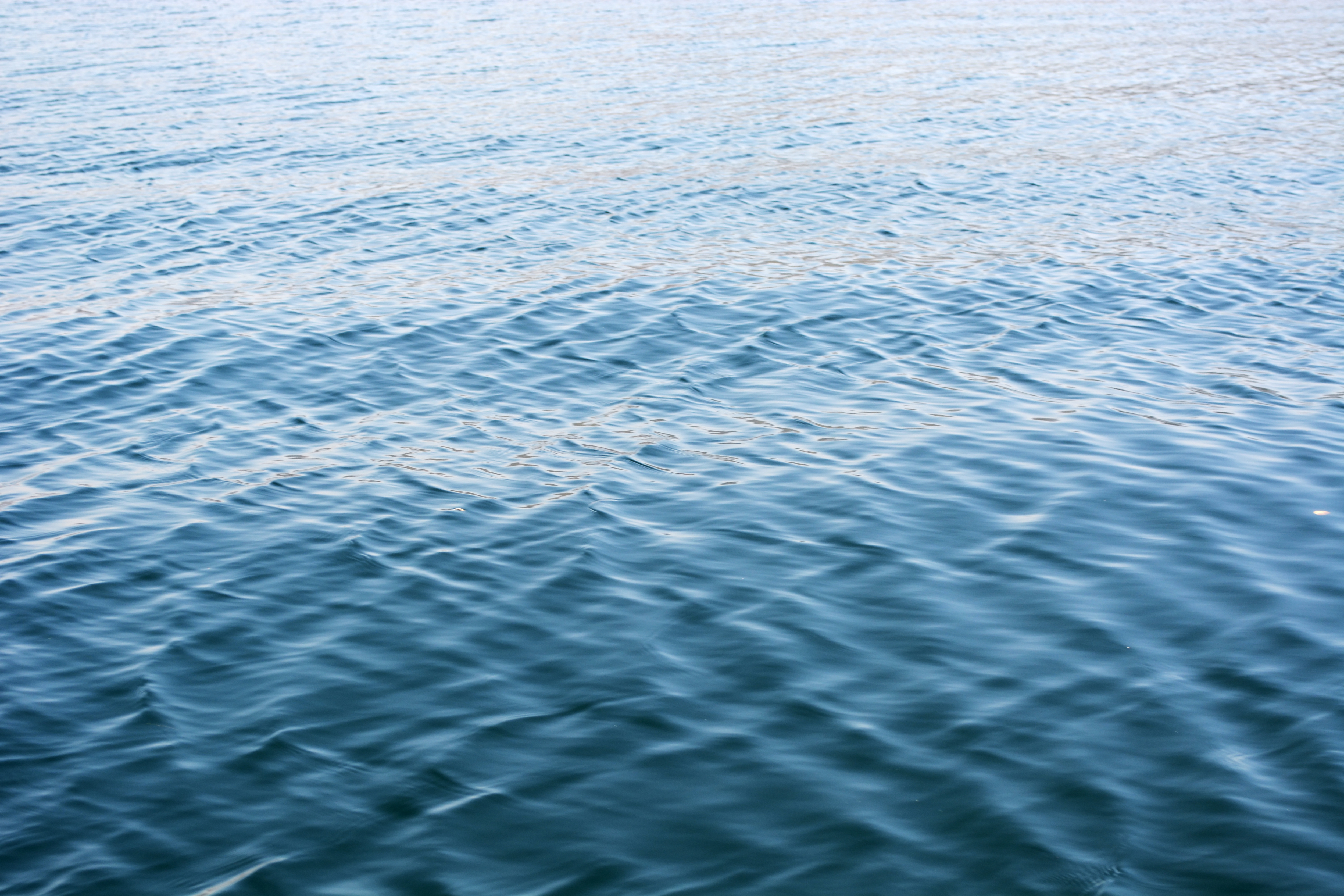 海水深層濃縮粉