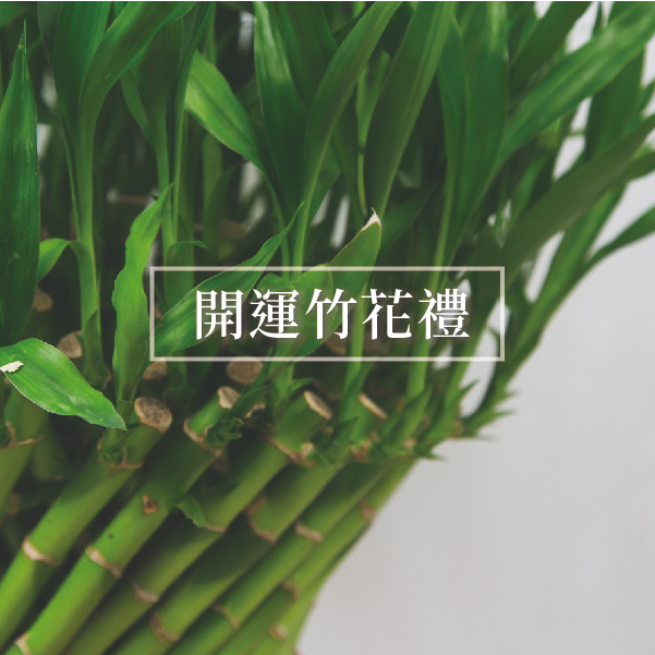 開運竹盆栽
