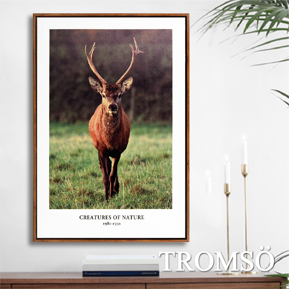 北歐時代風尚有框畫40x60cm-WA145雄鹿氣度