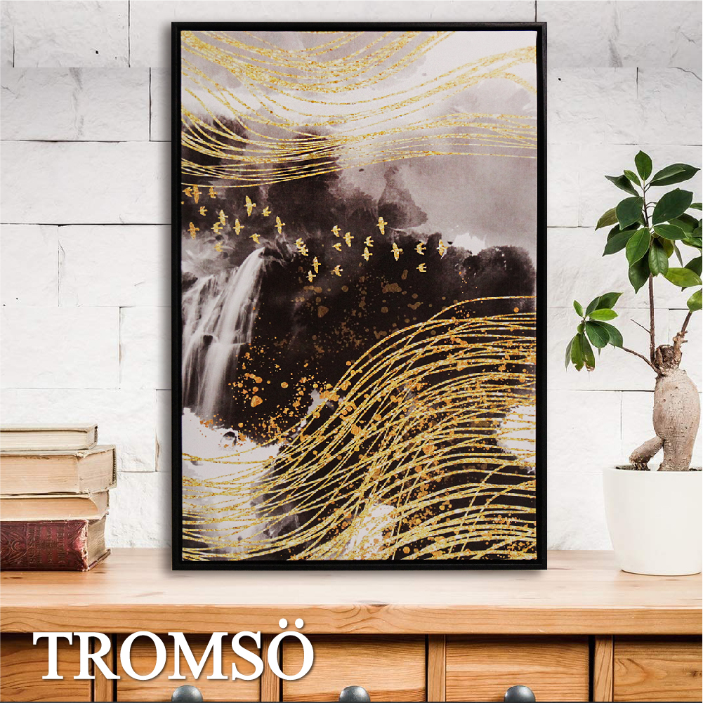 北歐時代風尚有框畫40x60cm-WA148飛擁萬金B