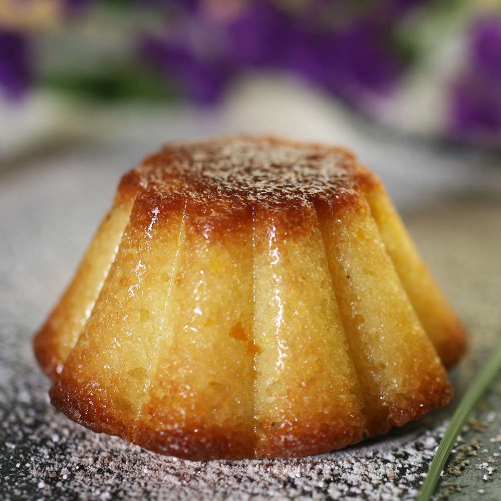 (絕版品) 全球專利矽金矽膠系列-迷你布里歐烤模