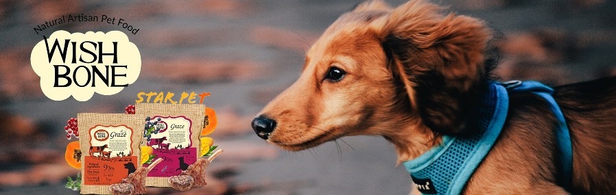 狗糧,Wishbone,紐西蘭狗糧,wishbone威斯邦,威斯邦狗糧,狗,寵物用品,狗糧品牌,狗糧邊隻好,狗糧推薦,狗糧最好,狗糧最便,天然狗糧,無穀物狗糧,狗乾糧,dog,hk online pet shop,dog food