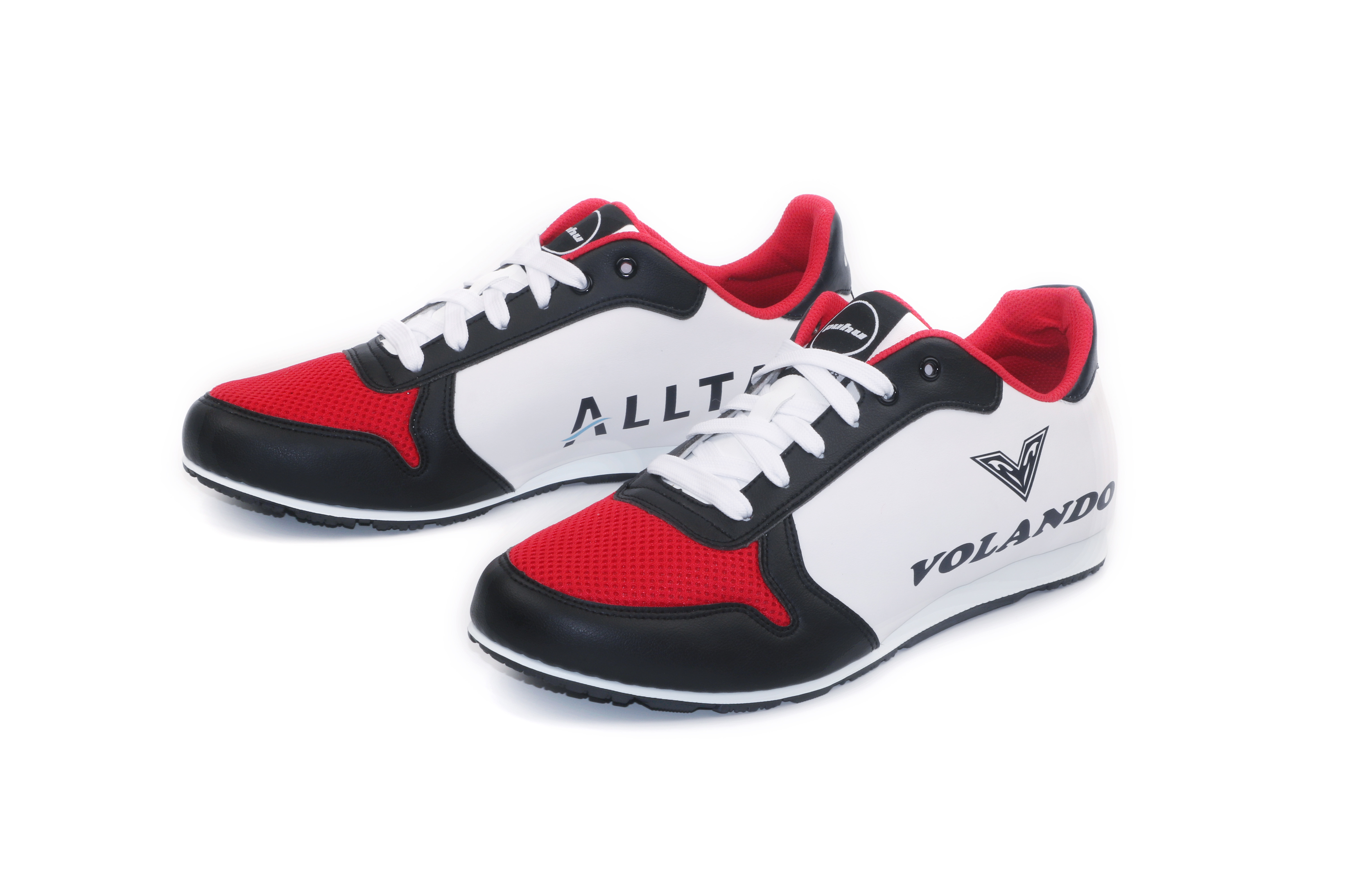 大田精密工業 / 彪琥客製鞋服務 客戶案例