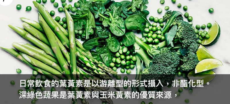 日常飲食 游離型 酯化型  深綠色 蔬果 葉黃素 來源，