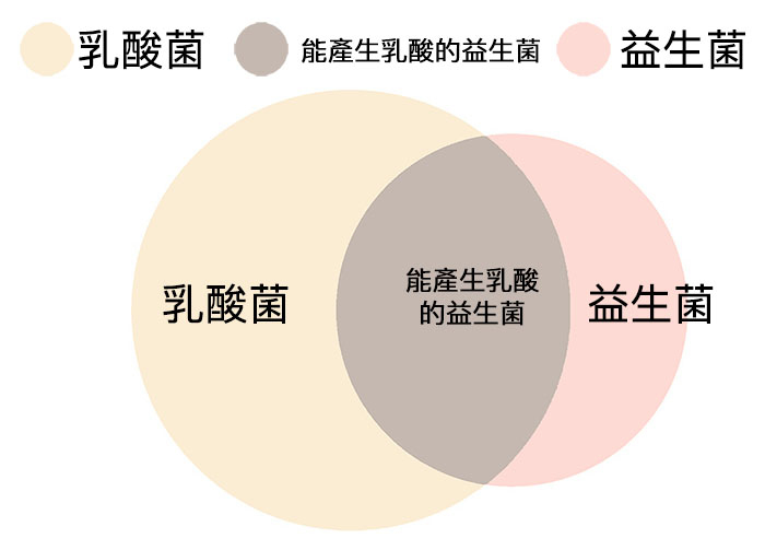 益生菌 乳酸菌
