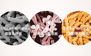 如果挑選益生菌