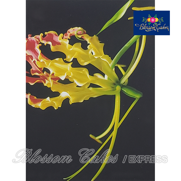 Climbing Lily Petal & Leaf Cutters, Set of 8