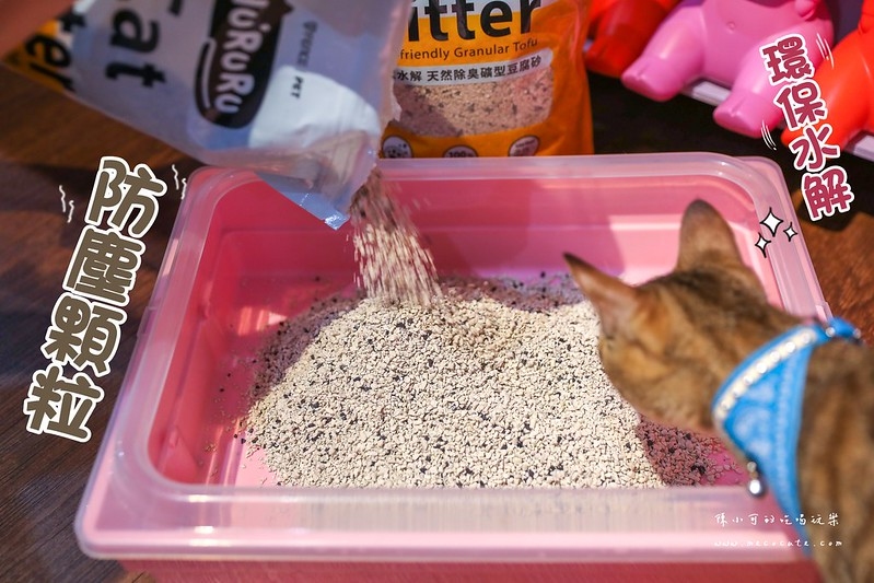 幫貓咪換新的防御工事礦型豆腐砂