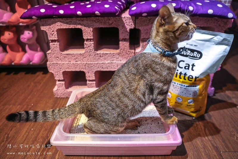 貓在適用防御工事礦型豆腐砂