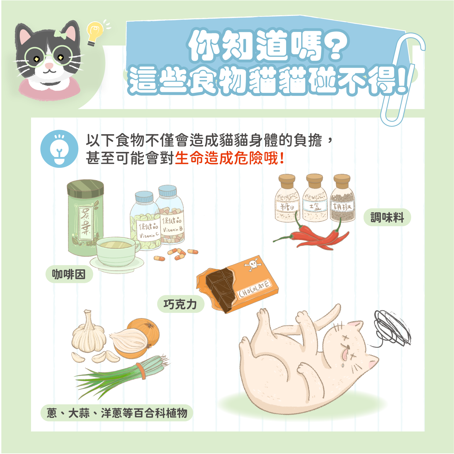 你知道嗎？這些食物貓貓碰不得！！