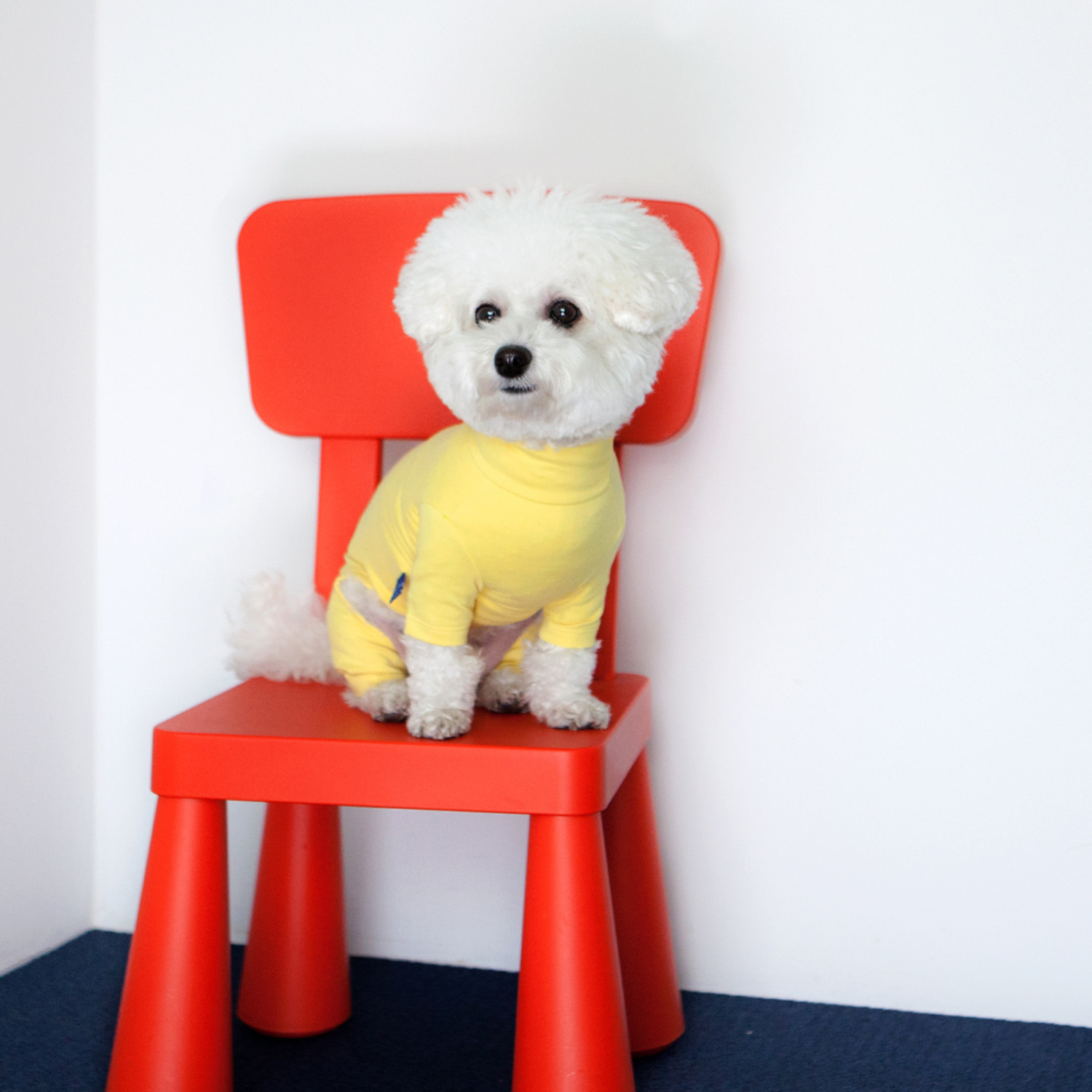 ★Dentist Appointment★ Body Warm 暖暖高領連身褲 (檸檬)