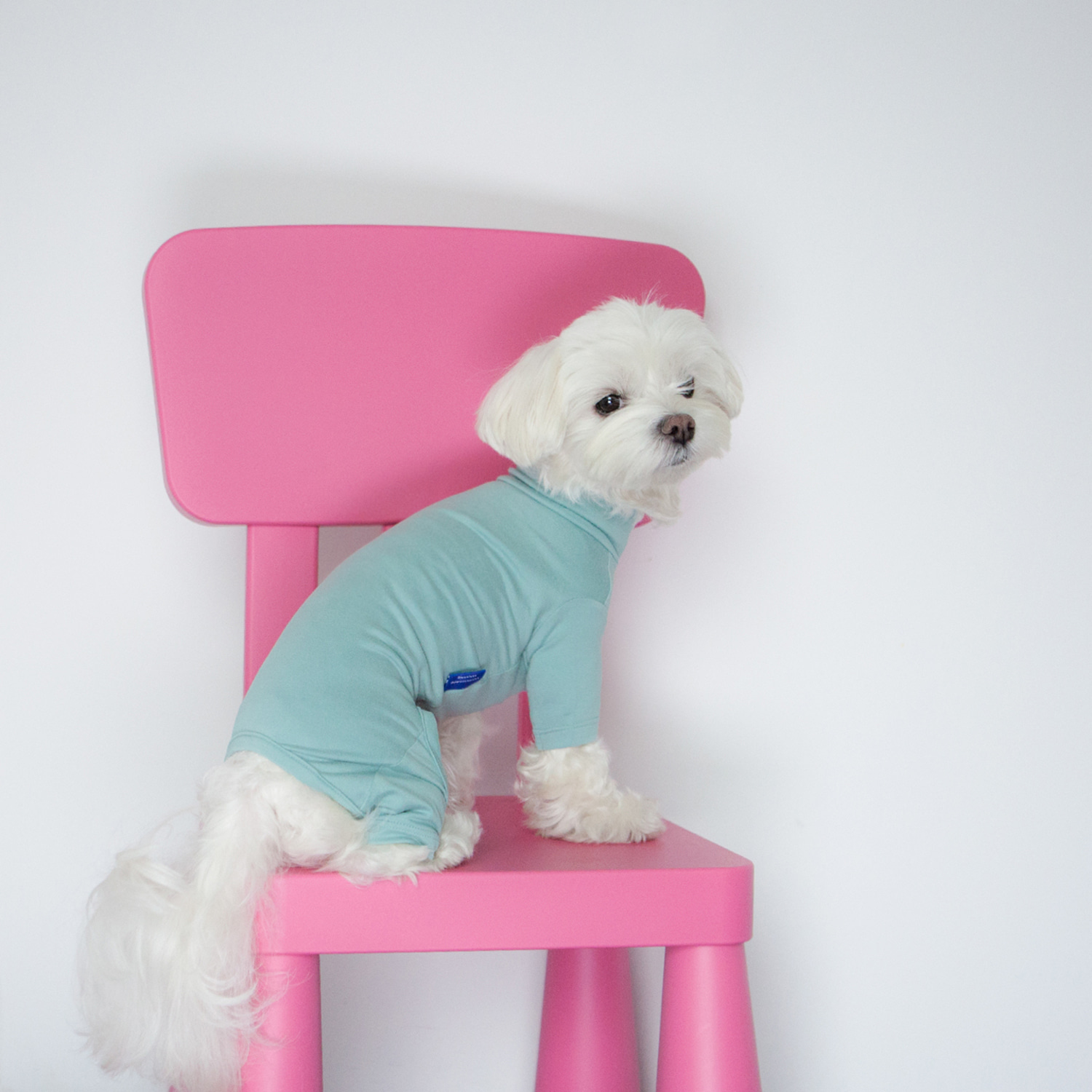 ★Dentist Appointment★ Body Warm 暖暖高領連身褲 (薄荷)