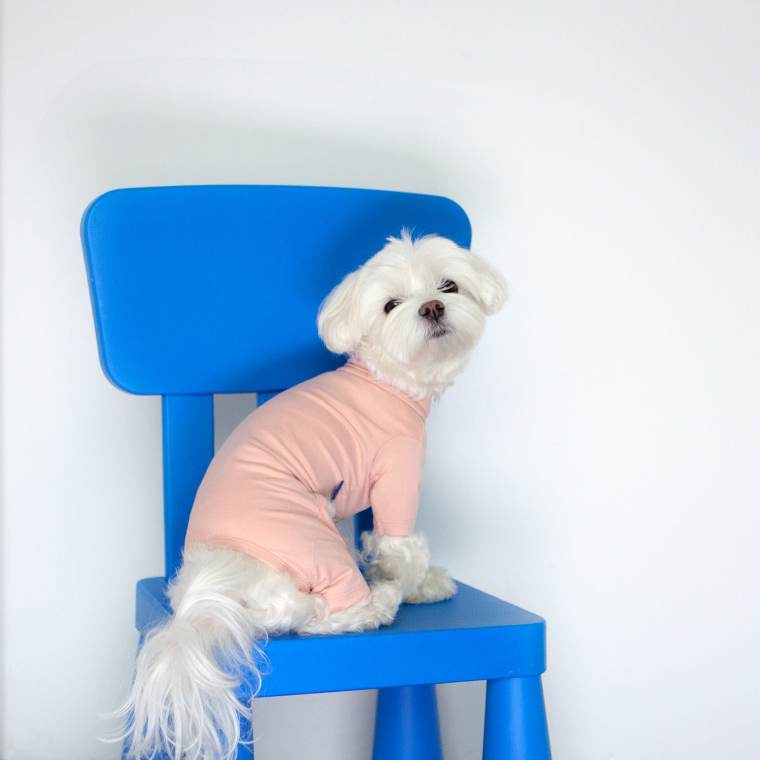 ★Dentist Appointment★ Body Warm 暖暖高領連身褲 (粉紅)