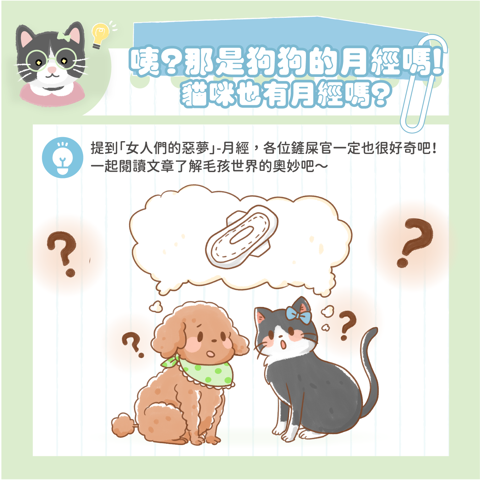 那是狗狗的月經嗎？那貓咪也有月經嗎？