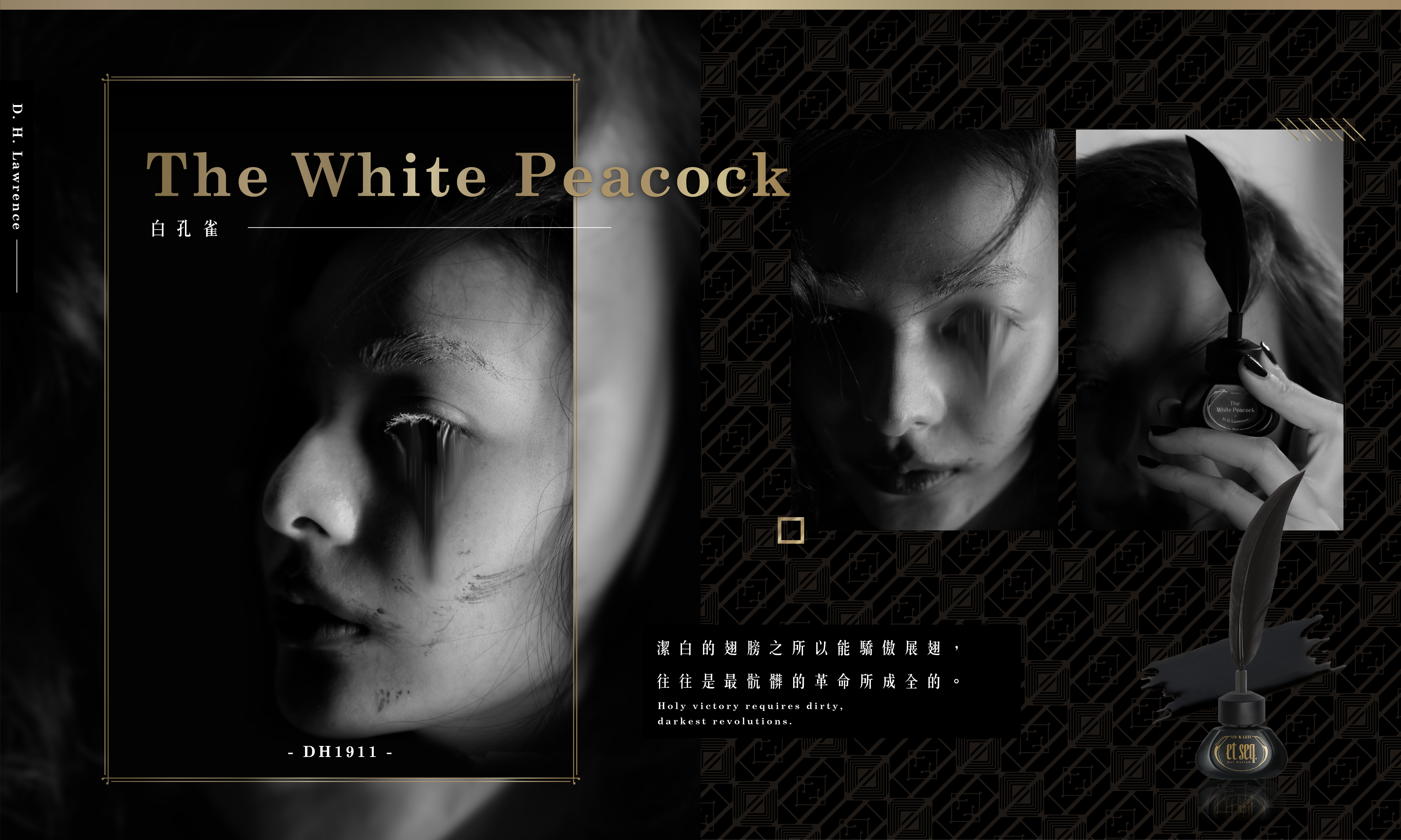 白孔雀-潔白的翅膀之所以能驕傲展翅,往往是最髒的革命所成全的