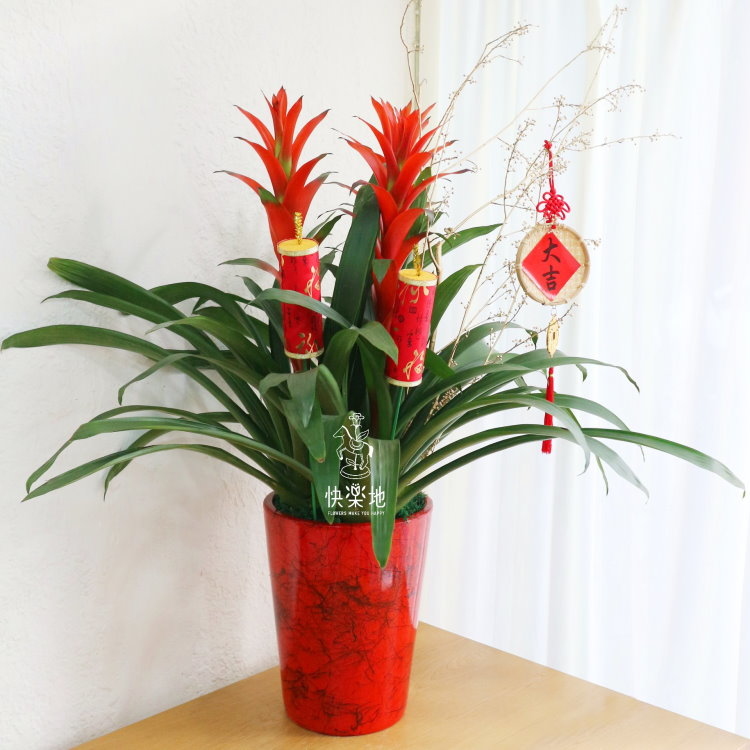 鴻運旺來   GF200250