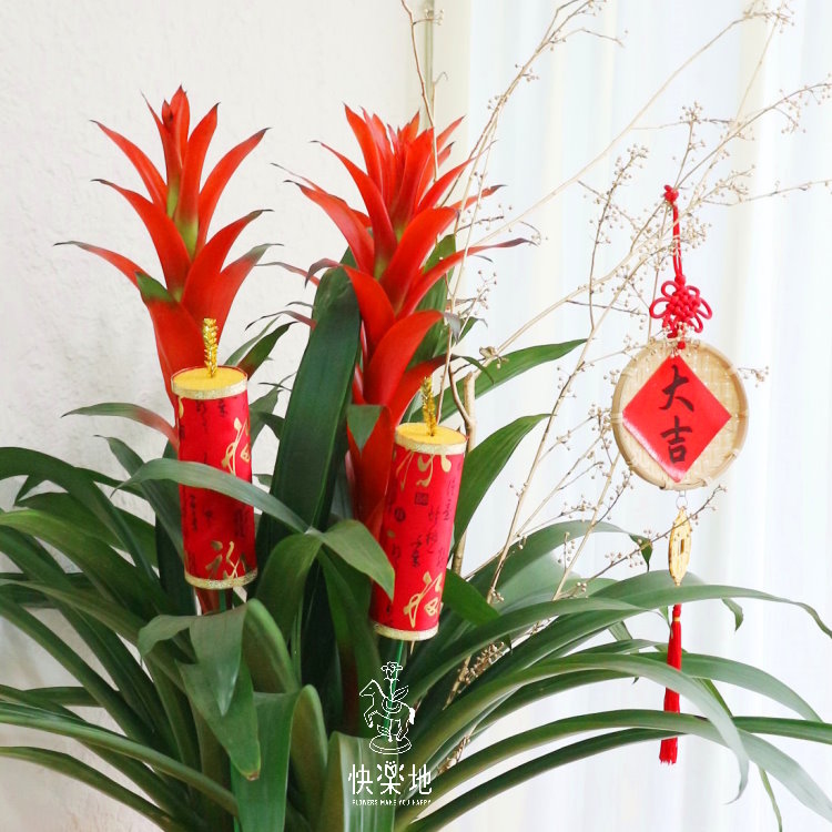 鴻運旺來   GF200250