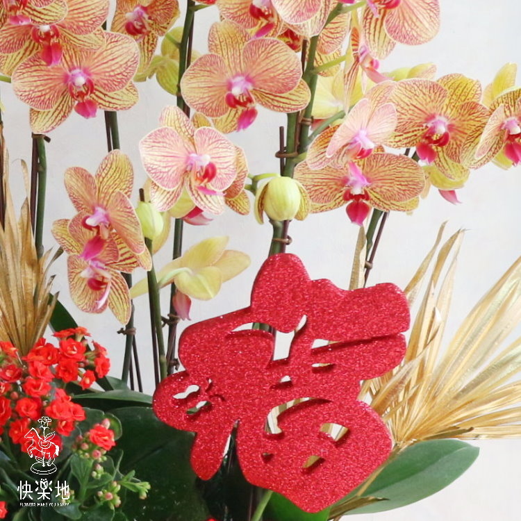 錦繡燦金   OP200650