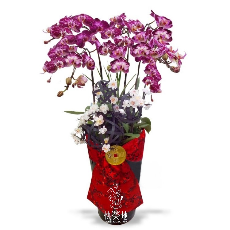 吉慶滿門   OP200851