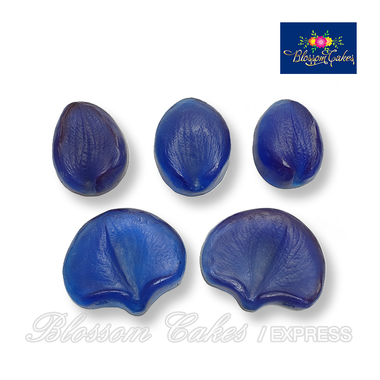 Phalaenopsis Orchid Resin Vein Stamp, Set of 5