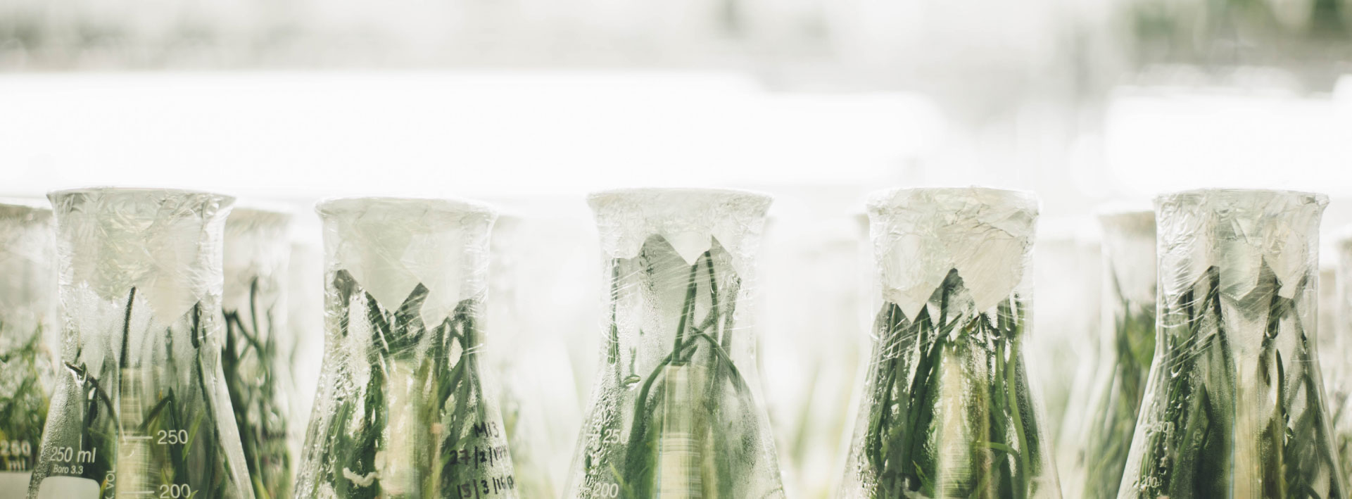 家庭清潔系列,rafago家庭清潔系列,洗衣精,洗碗精,洗蔬液,寶寶,rafago,rafa牽著吉娃娃