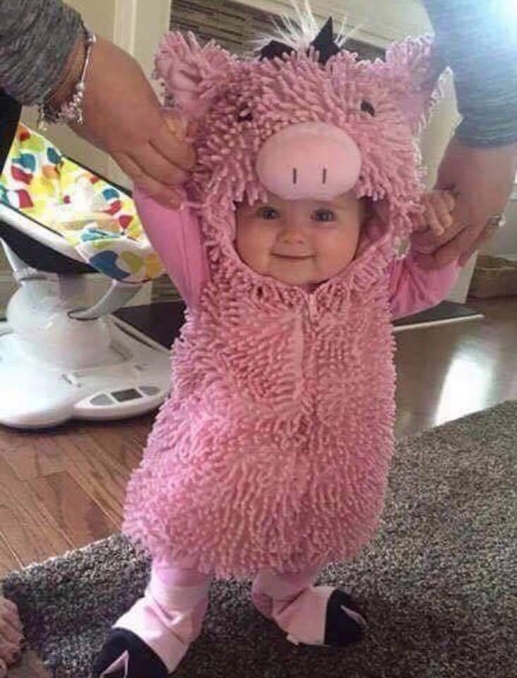 KD-Pink Pig Fantasy world
