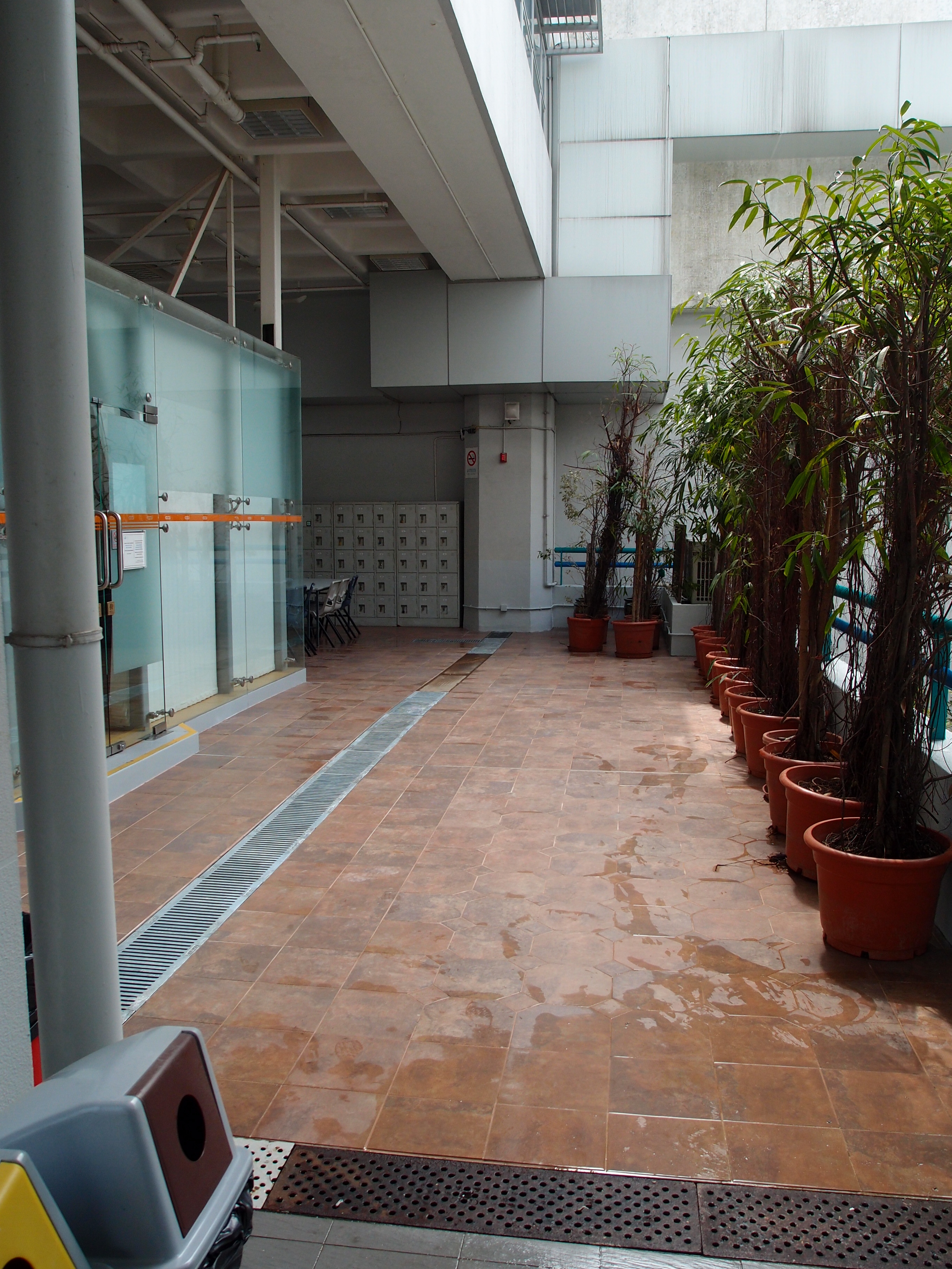 community college of city university,podium floor,china glazed porcelain tile,topworlds