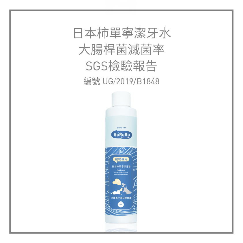 日本柿單寧潔牙水|大腸桿菌滅菌率,SGS檢驗報告