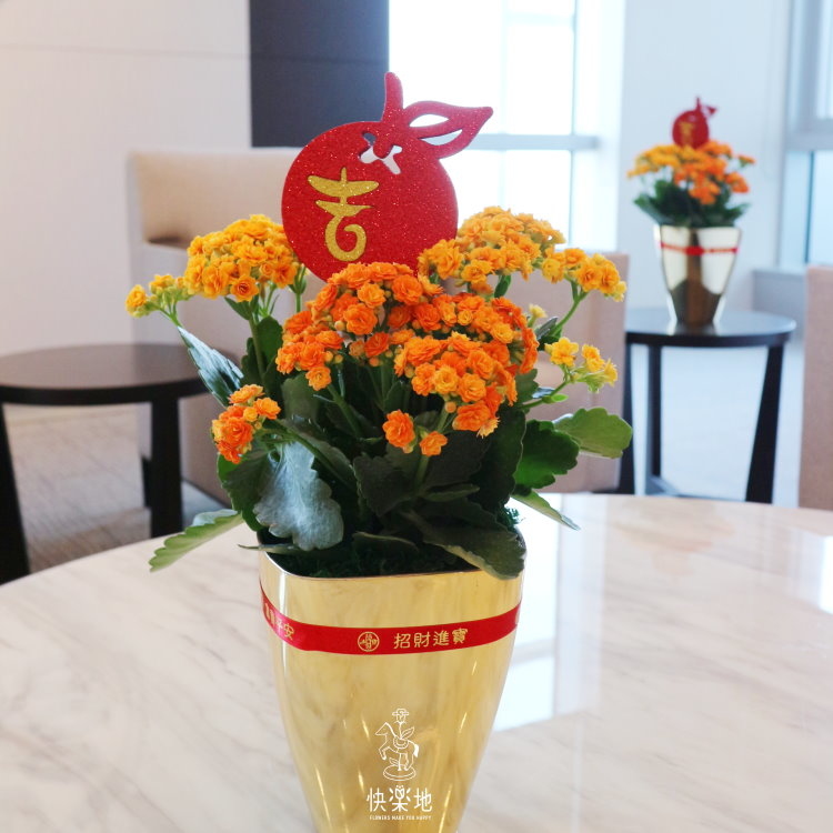 金豐福壽   GP200100