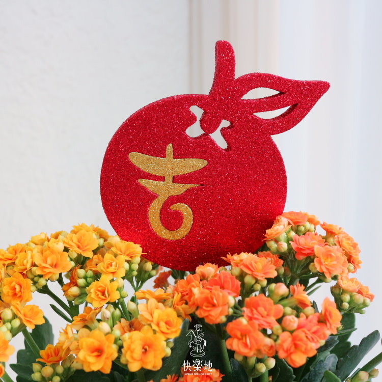 金豐福壽   GP200100