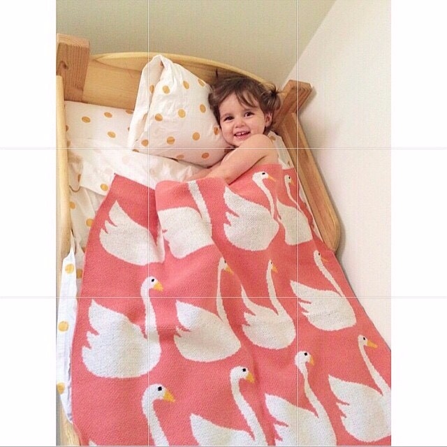歐美天鵝秋冬熱賣款嬰兒毯