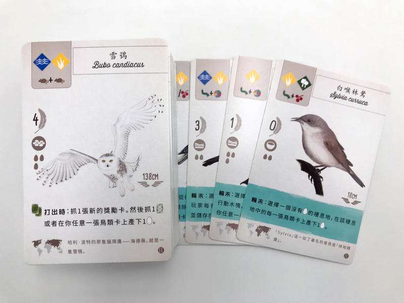 展翅翱翔擴充 歐洲篇 Wingspan 繁體中文版