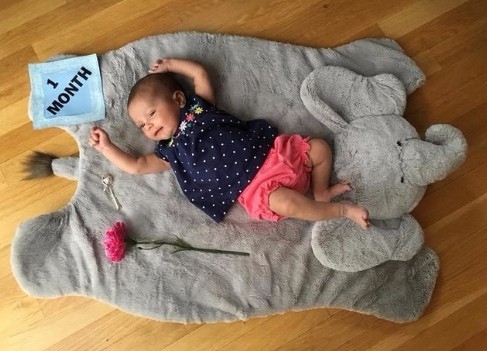 Elephant Plush Play Mat大象地墊