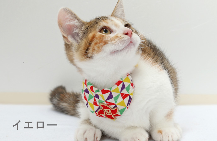 Amoworks  項圈  忍忍領巾