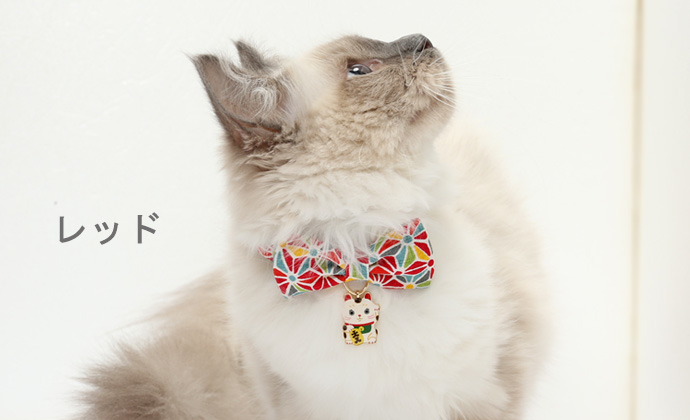 Amoworks  項圈  萬花筒