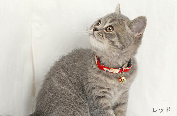 Amoworks  項圈  和風織物