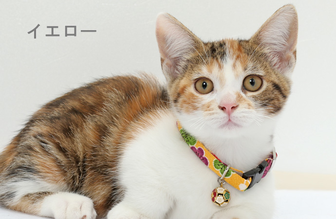 Amoworks  項圈  梅櫻