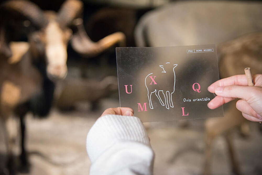 利用道具 解開館藏展品背後的秘密