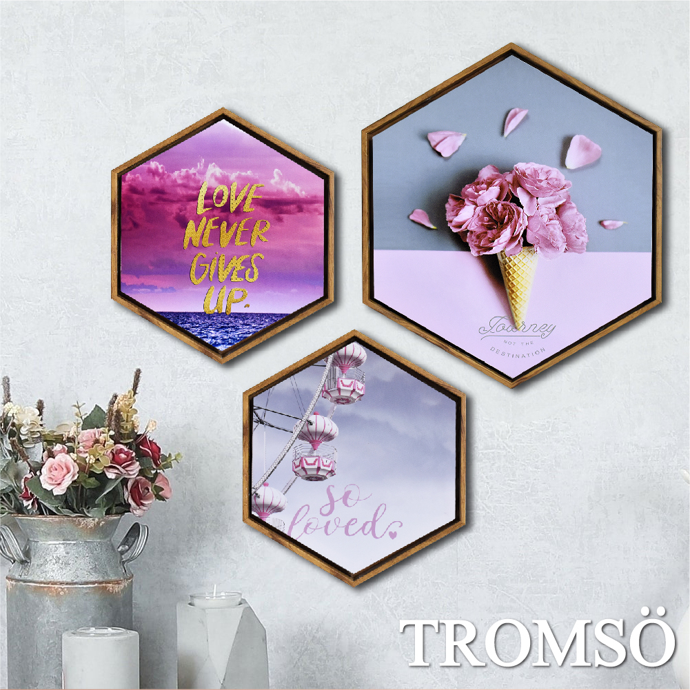 69折 - 北歐時代風尚六角有框畫-粉紅樂活WA158