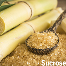 蔗糖
