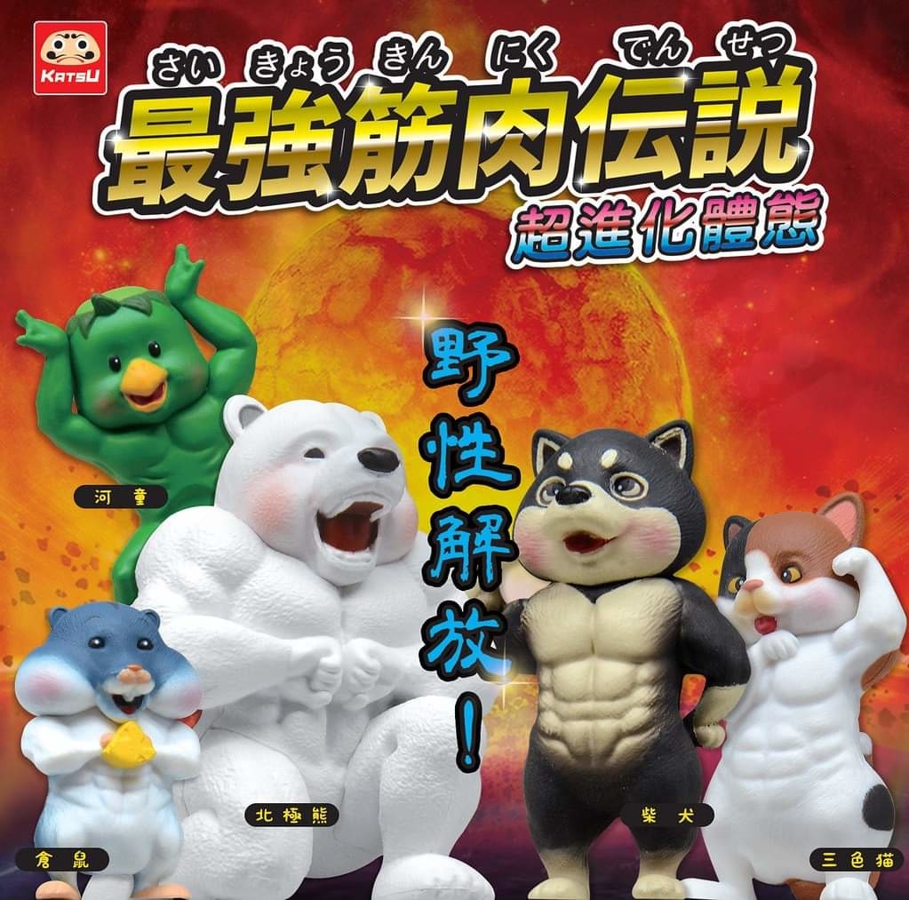 現貨＊Katsu工房 "最強筋肉傳說"   野性解放 !  全5種