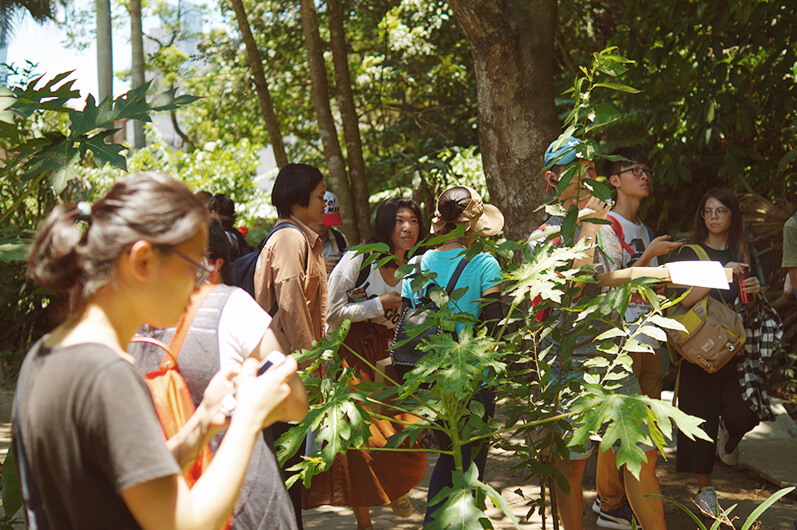 台北市信義區也有山區