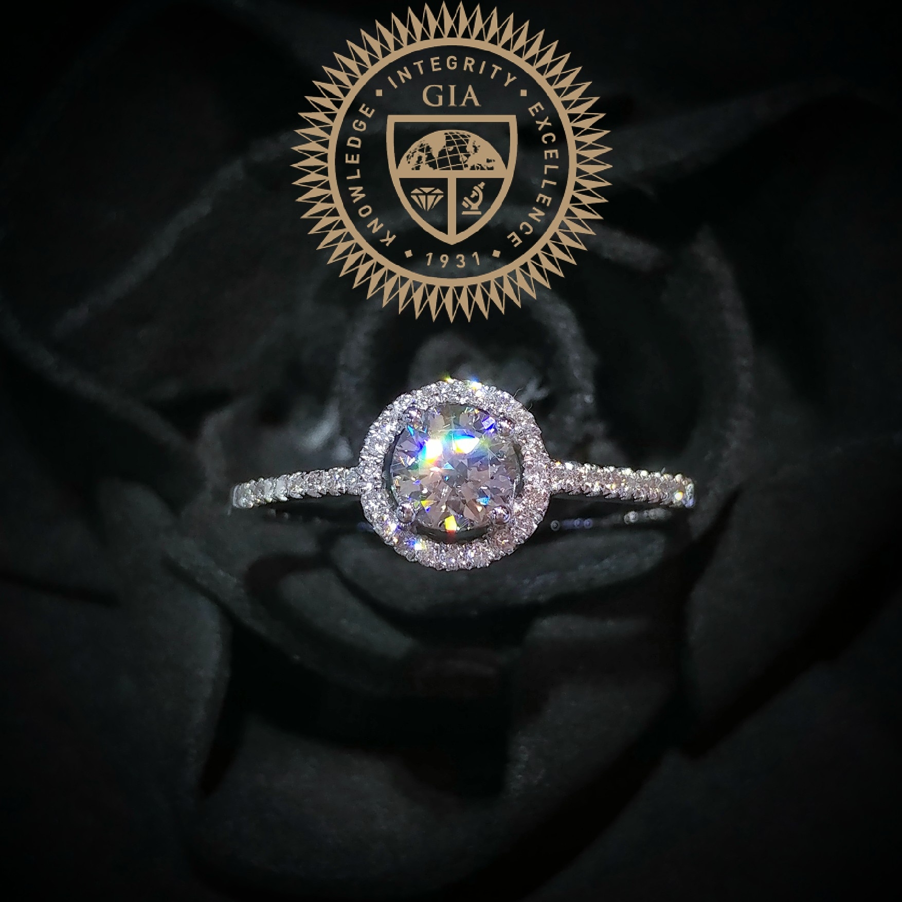 18K White Gold 0.44ct Diamond Ring