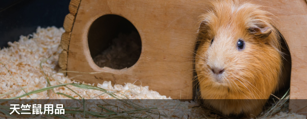 穴兔寵物酒店,moonrabbithotel,兔仔用品,兔糧,龍貓用品,龍貓糧,倉鼠用品,倉鼠糧,天竺鼠用品,天竺鼠糧,寵物用品,提摩西牧草,oxbow,momi,Timothyhay,rabbit,hamster,chinchilla,寵物食品