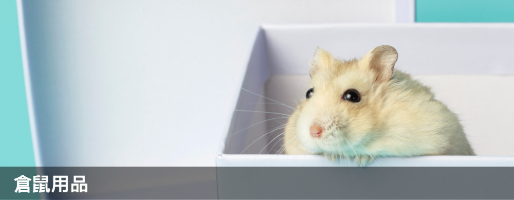 穴兔寵物酒店,moonrabbithotel,兔仔用品,兔糧,龍貓用品,龍貓糧,倉鼠用品,倉鼠糧,天竺鼠用品,天竺鼠糧,寵物用品,提摩西牧草,oxbow,momi,Timothyhay,rabbit,hamster,chinchilla,寵物食品