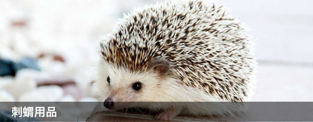 穴兔寵物酒店,moonrabbithotel,兔仔用品,兔糧,龍貓用品,龍貓糧,倉鼠用品,倉鼠糧,天竺鼠用品,天竺鼠糧,寵物用品,提摩西牧草,oxbow,momi,Timothyhay,rabbit,hamster,chinchilla,寵物食品