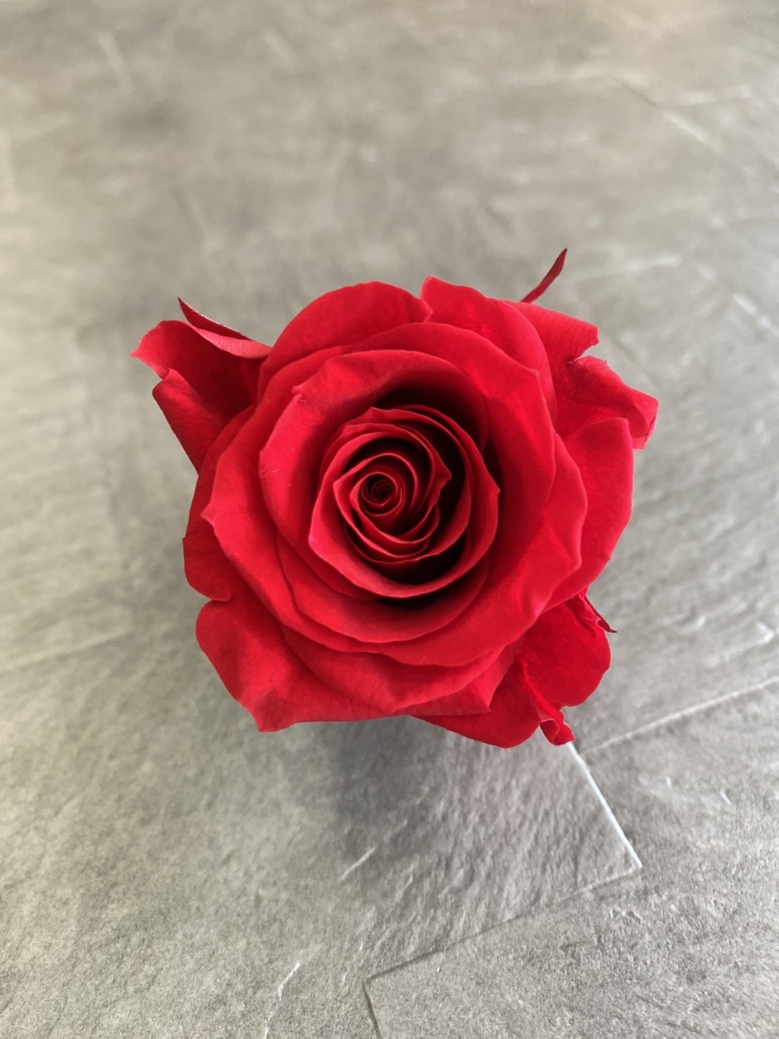 什麼是不凋花什麼是永生花不凋玫瑰花永生玫瑰花