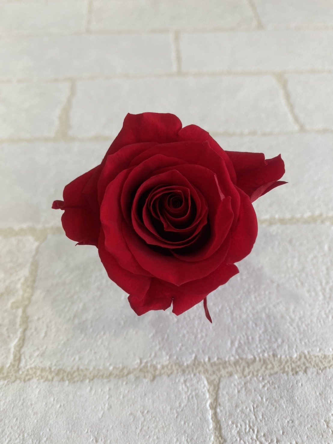 什麼是不凋花什麼是永生花不凋玫瑰花永生玫瑰花