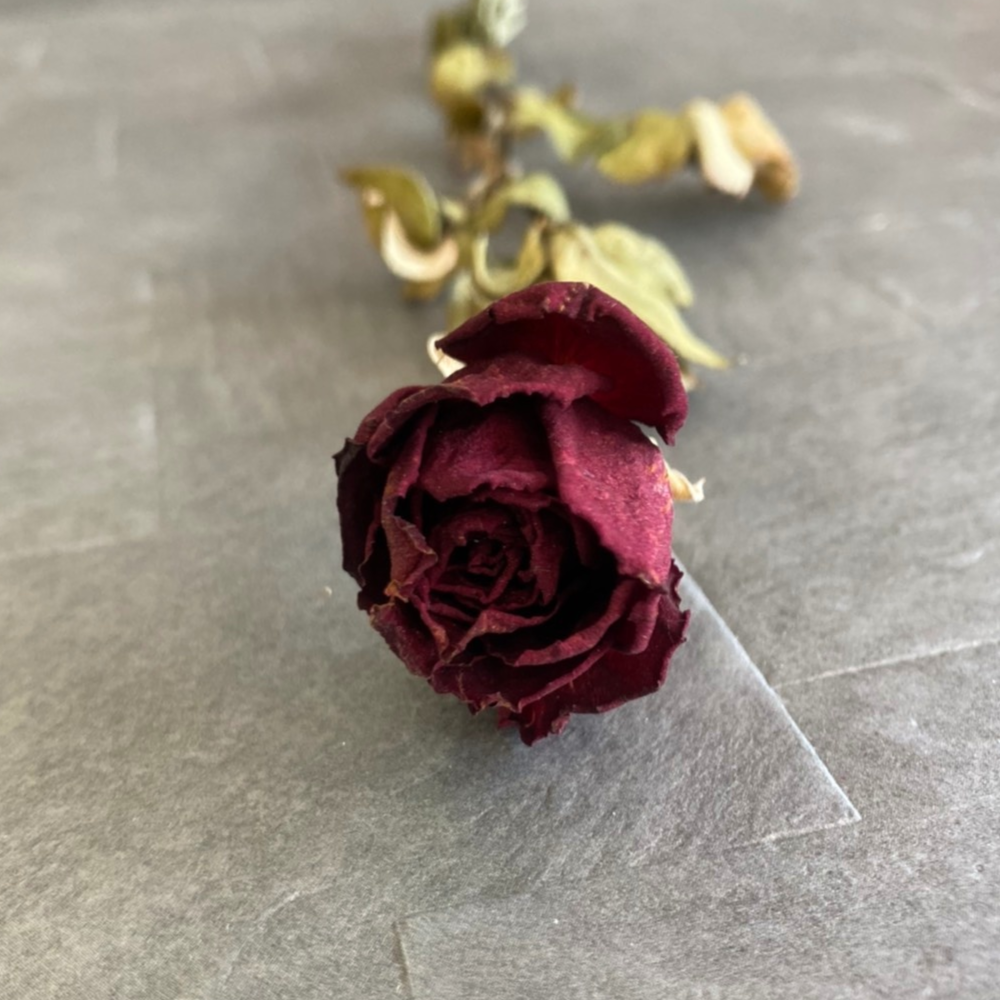 什麼是不凋花什麼是永生花不凋玫瑰花永生玫瑰花