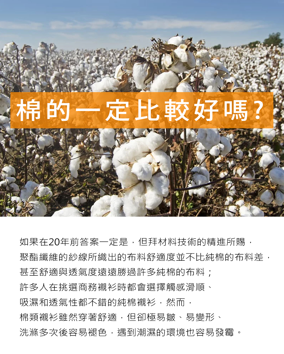 棉質商務襯衫的迷思